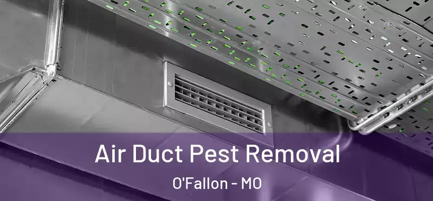  Air Duct Pest Removal O'Fallon - MO