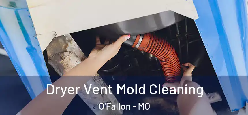 Dryer Vent Mold Cleaning O'Fallon - MO