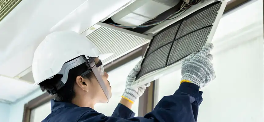 Our Lint Trap Cleaning Service Services in O'Fallon, MO