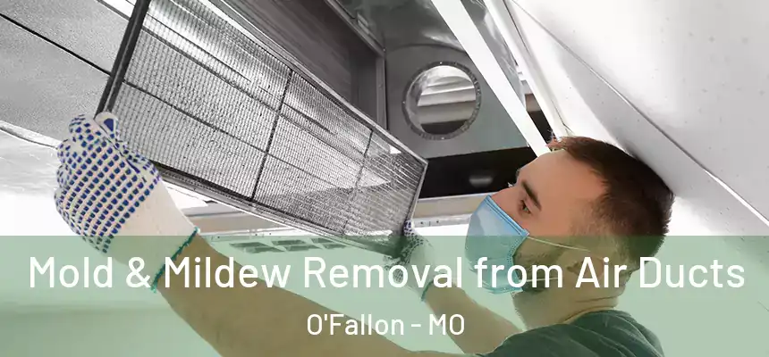  Mold & Mildew Removal from Air Ducts O'Fallon - MO