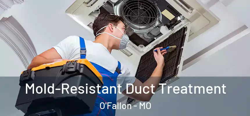  Mold-Resistant Duct Treatment O'Fallon - MO