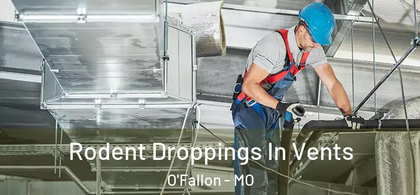  Rodent Droppings In Vents O'Fallon - MO