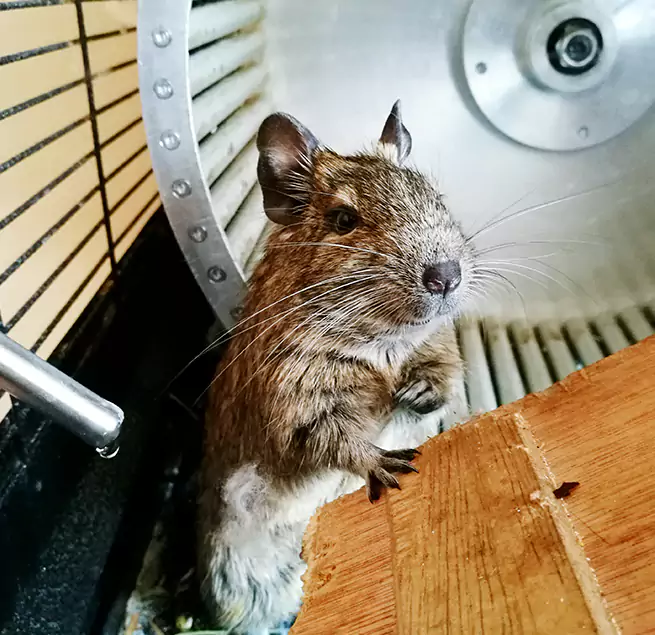 Why Homeowners & Businesses Trust Us O'Fallon, MO