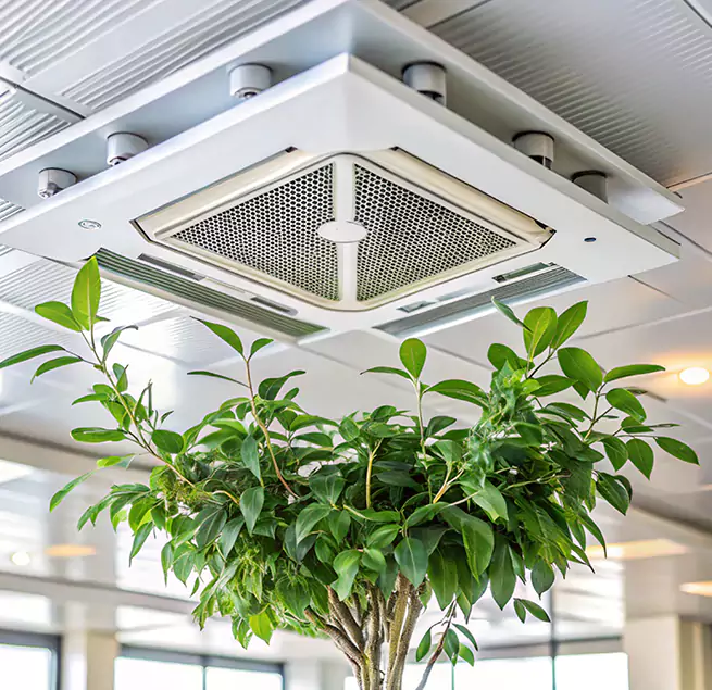 Why Homeowners & Businesses Trust Us in O'Fallon, MO?